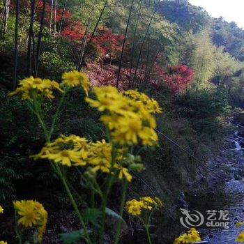 宁波龙观禅那艺术民宿酒店提供图片