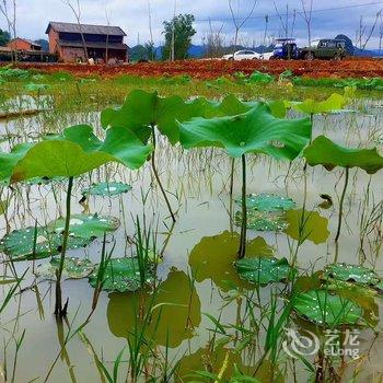 文山怡君苑客栈酒店提供图片