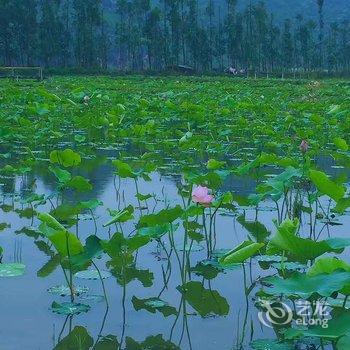 文山怡君苑客栈酒店提供图片