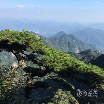 上饶三清山锦都南星道家主题宾馆用户上传图片