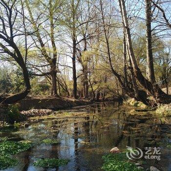 丽江束河漫山草堂雪山观景精品客栈酒店提供图片