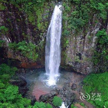 仙居老村长民宿酒店提供图片