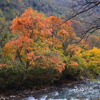 雅安天全川达宾馆酒店提供图片