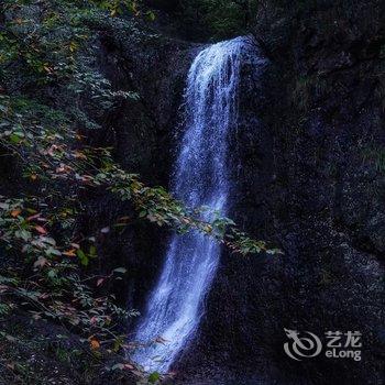 安吉无尘·茗宿酒店提供图片