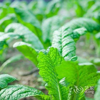 仙居神仙驿栈度假民宿酒店提供图片