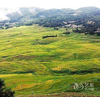 元阳悬崖客栈酒店提供图片