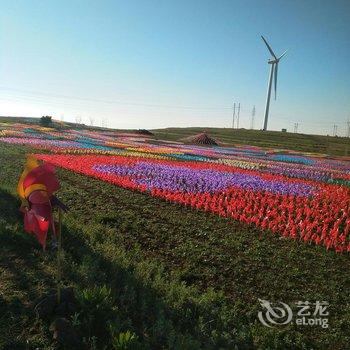 张北香间甜野农家院酒店提供图片