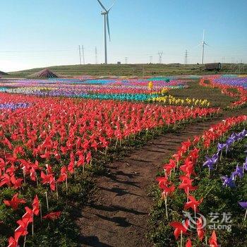 张北香间甜野农家院酒店提供图片