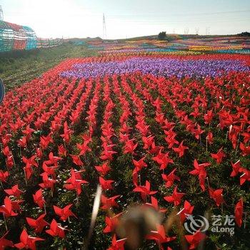 张北香间甜野农家院酒店提供图片