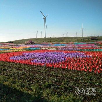 张北香间甜野农家院酒店提供图片