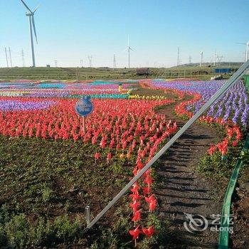 张北香间甜野农家院酒店提供图片