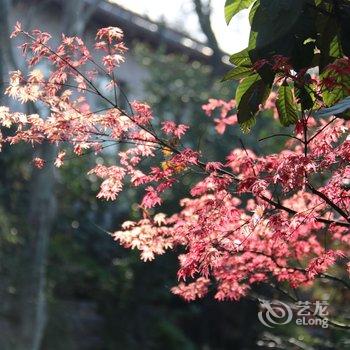 洛阳东山宾馆酒店提供图片