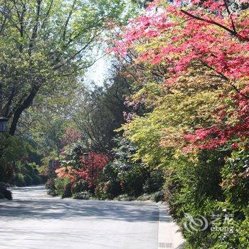 洛阳东山宾馆酒店提供图片