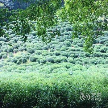 杭州十方酒店酒店提供图片