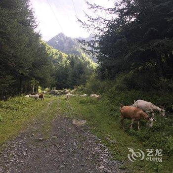 理县云丹久美藏家乐住宿酒店提供图片