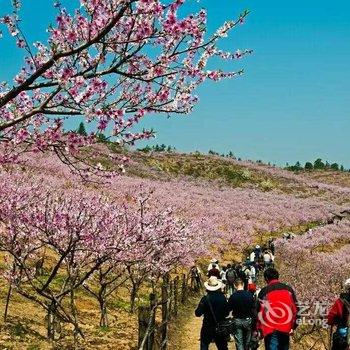 浏阳大围山客家农庄酒店提供图片