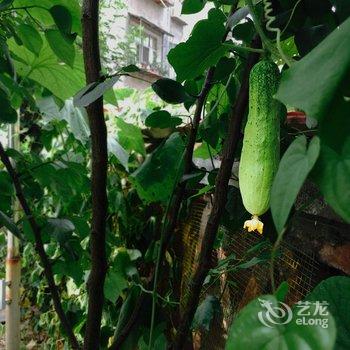 丹江口武当道客青年旅舍酒店提供图片