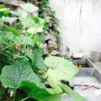 丹江口武当道客青年旅舍酒店提供图片