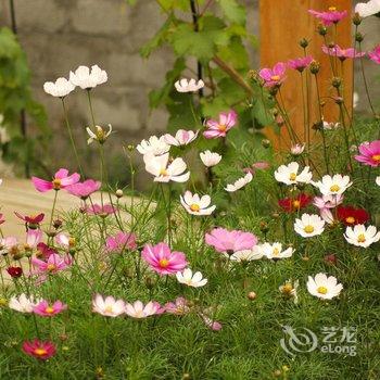 波密十间房花园民宿酒店提供图片