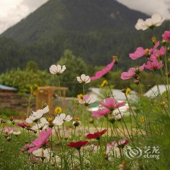 波密十间房花园民宿酒店提供图片