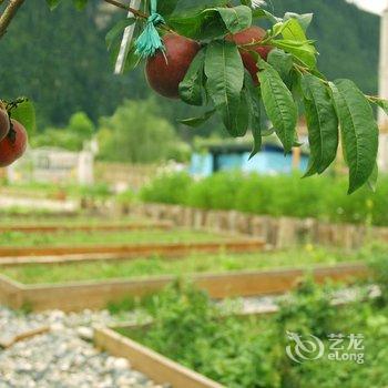 波密十间房花园民宿酒店提供图片