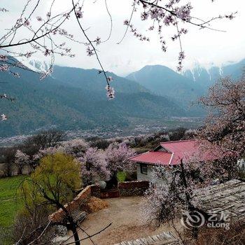 波密十间房花园民宿酒店提供图片