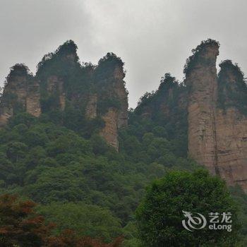 武陵源伴山竹苑居客栈(森林公园店)酒店提供图片