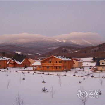 亚布力滑雪场风情别墅一号酒店提供图片