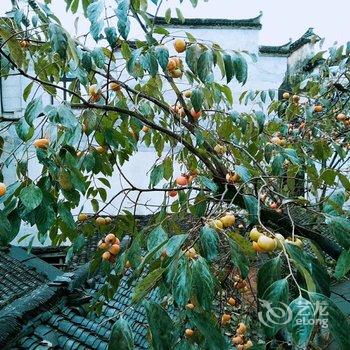 宏村祥安阁客栈酒店提供图片