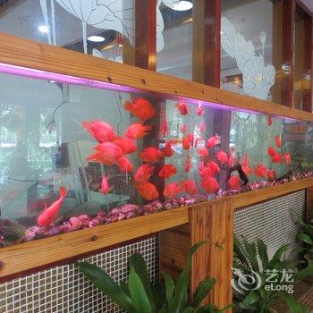 海口龙泉之星(白龙店)酒店提供图片