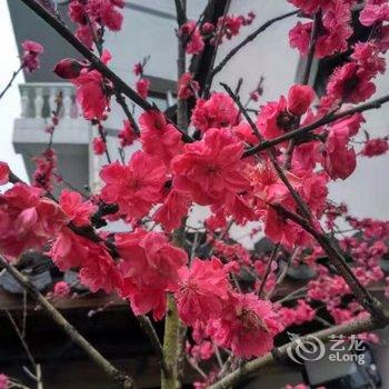 丽水秀水雅居民宿酒店提供图片