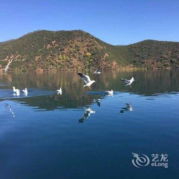 丽江泸沽湖圣湖酒店酒店提供图片