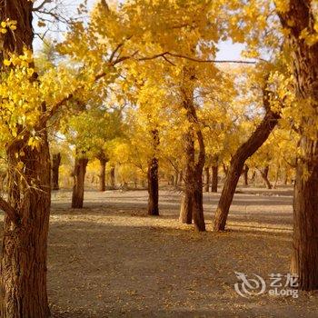 额济纳旗舒适家庭旅馆酒店提供图片