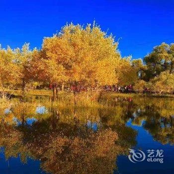 额济纳旗舒适家庭旅馆酒店提供图片