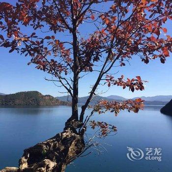 丽江泸沽湖圣湖酒店酒店提供图片