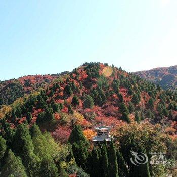 济南半山林韵度假酒店酒店提供图片