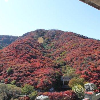 济南半山林韵度假酒店酒店提供图片