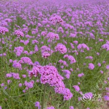 德清雅轩客栈酒店提供图片