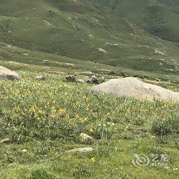 稻城格桑花酒店酒店提供图片