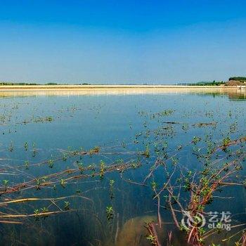 绵阳铂金海岸度假酒店酒店提供图片