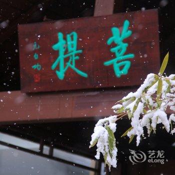 九华山茶溪健康小镇酒店酒店提供图片