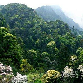 井冈山春岚山庄酒店提供图片