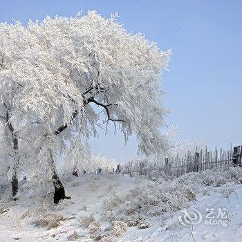 雪乡雪中情民俗客栈酒店提供图片