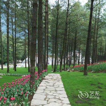 ���췼��԰��Ƶ�Ƶ��ṩͼƬ