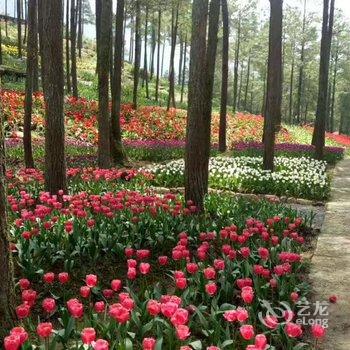 ���췼��԰��Ƶ�Ƶ��ṩͼƬ