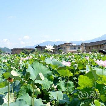 南靖田园客栈酒店提供图片