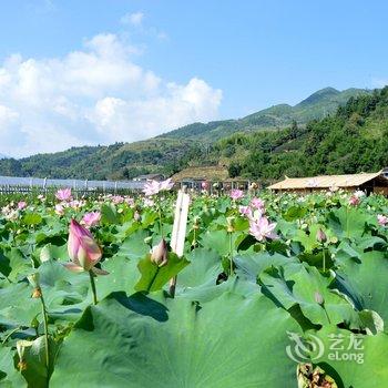 南靖田园客栈酒店提供图片