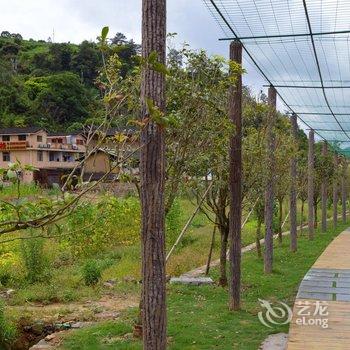 南靖田园客栈酒店提供图片