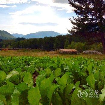 布尔津禾木棉绵里别院酒店提供图片