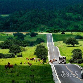 武隆仙森旅时旅馆酒店提供图片